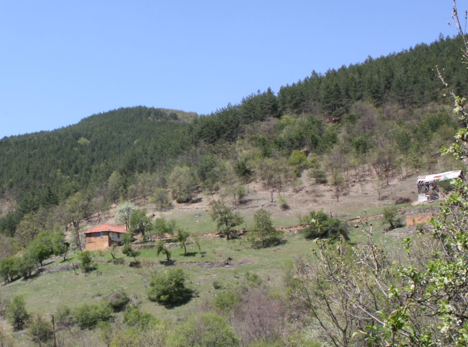 7.5 Acre Ranch in Bulgaria 1h from Sofia - Image 11 of 33