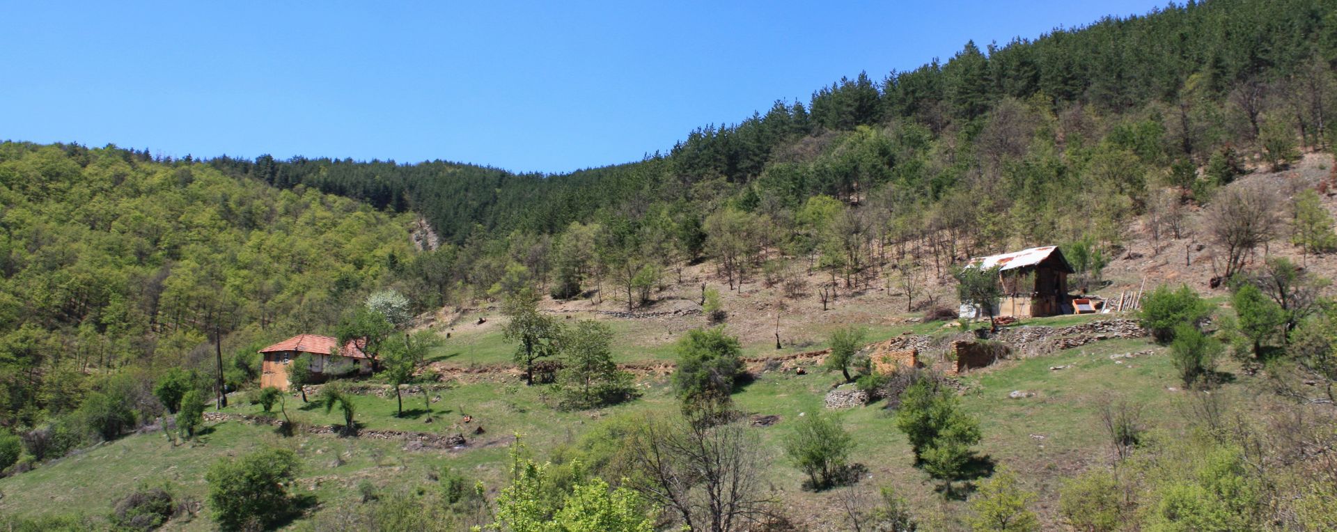 7.5 Acre Ranch in Bulgaria 1h from Sofia - Image 7 of 33