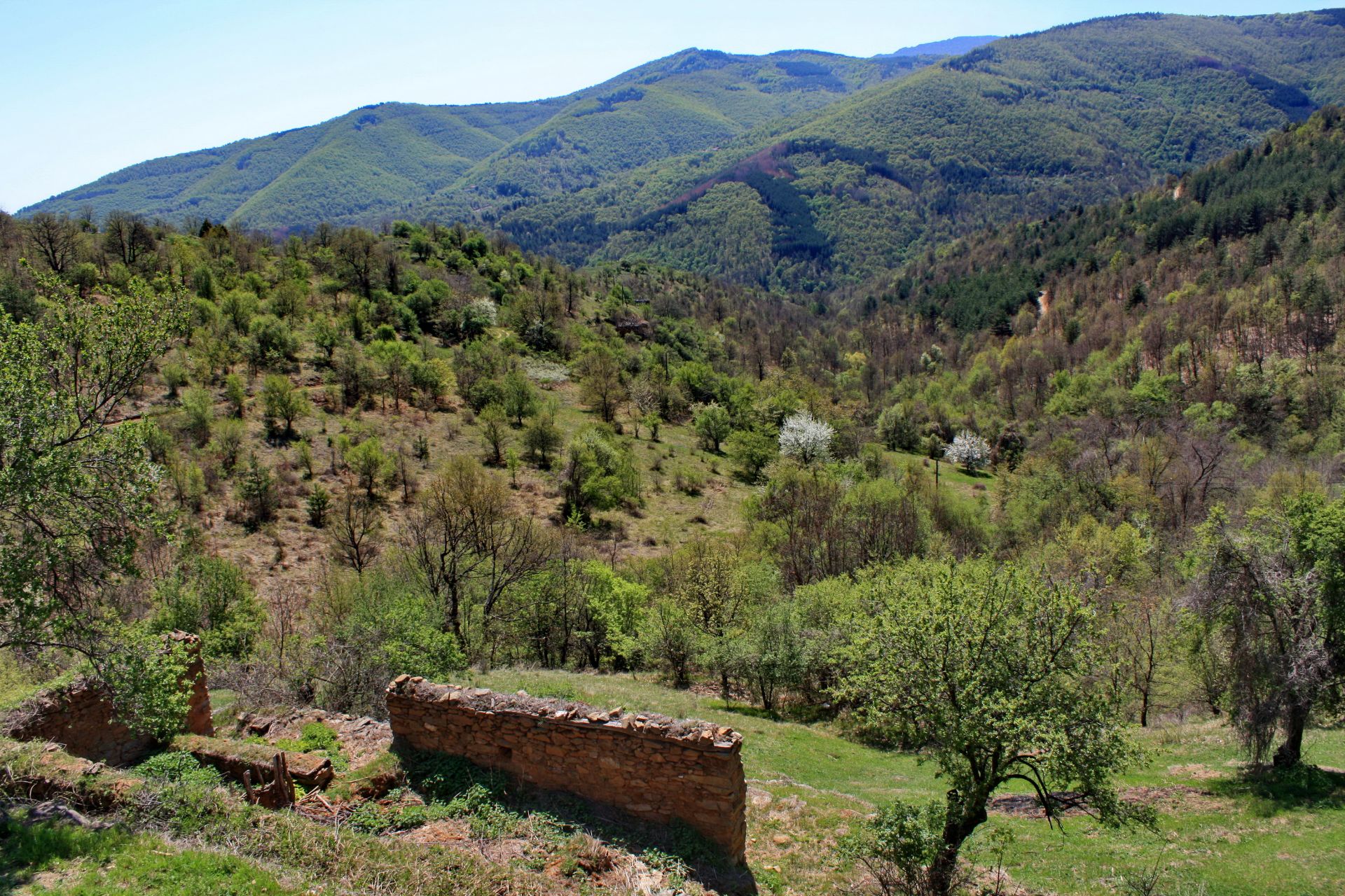 7.5 Acre Ranch in Bulgaria 1h from Sofia - Image 13 of 33