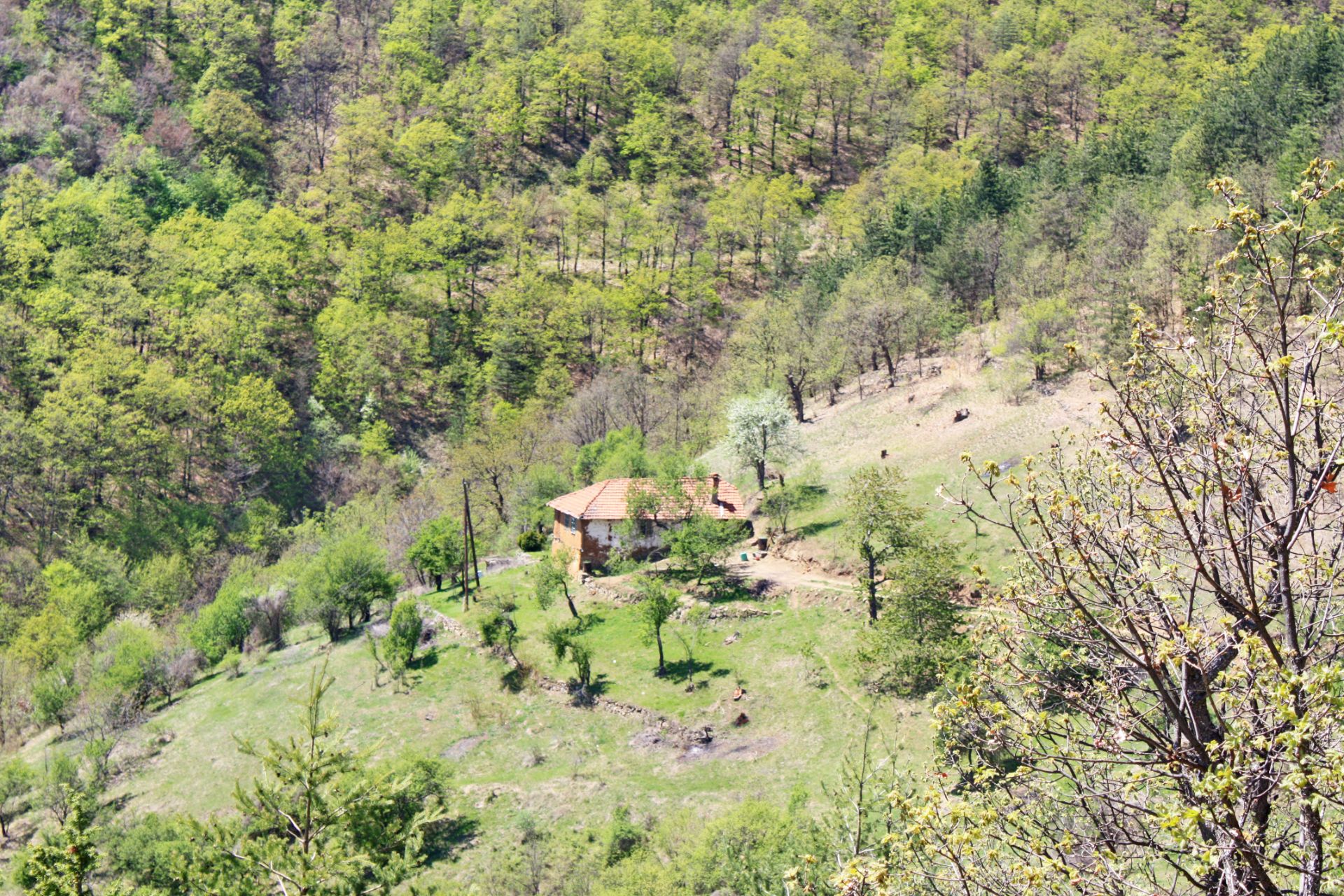7.5 Acre Ranch in Bulgaria 1h from Sofia - Image 10 of 33