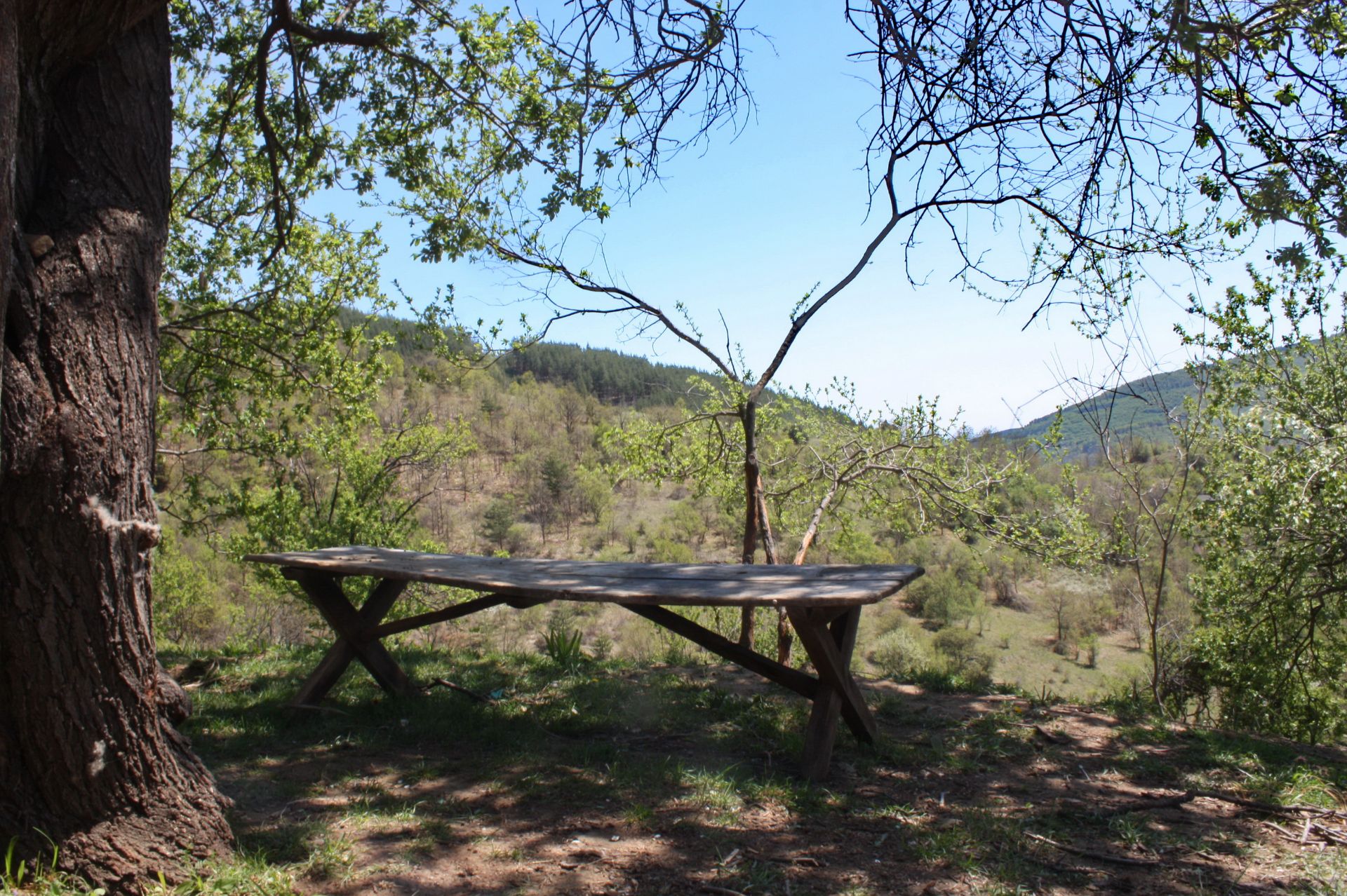 7.5 Acre Ranch in Bulgaria 1h from Sofia - Image 17 of 33