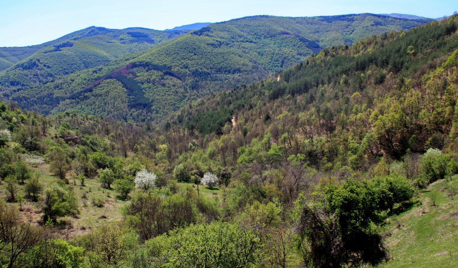 7.5 Acre Ranch in Bulgaria 1h from Sofia - Image 5 of 33