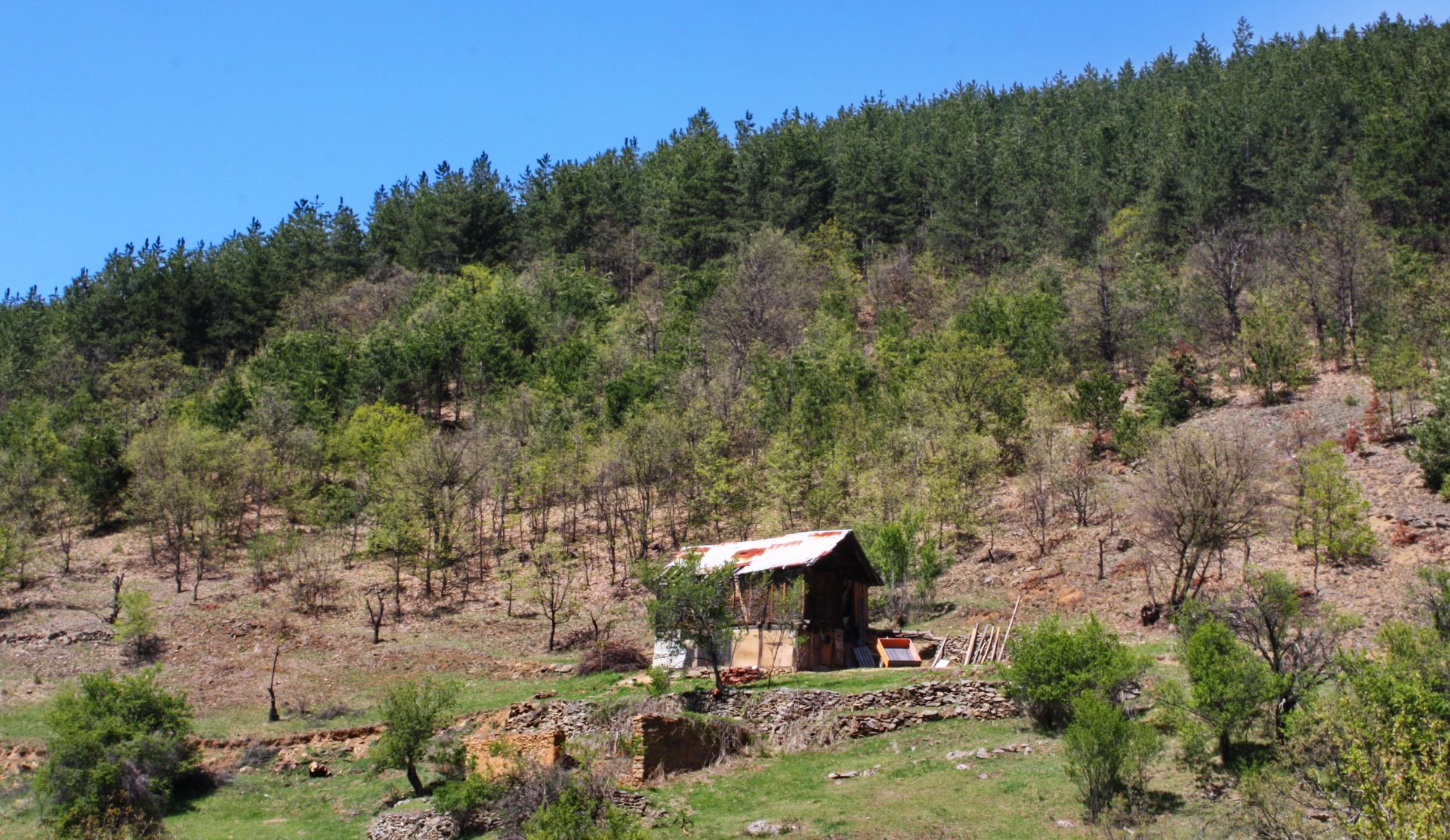 7.5 Acre Ranch in Bulgaria 1h from Sofia - Image 9 of 33