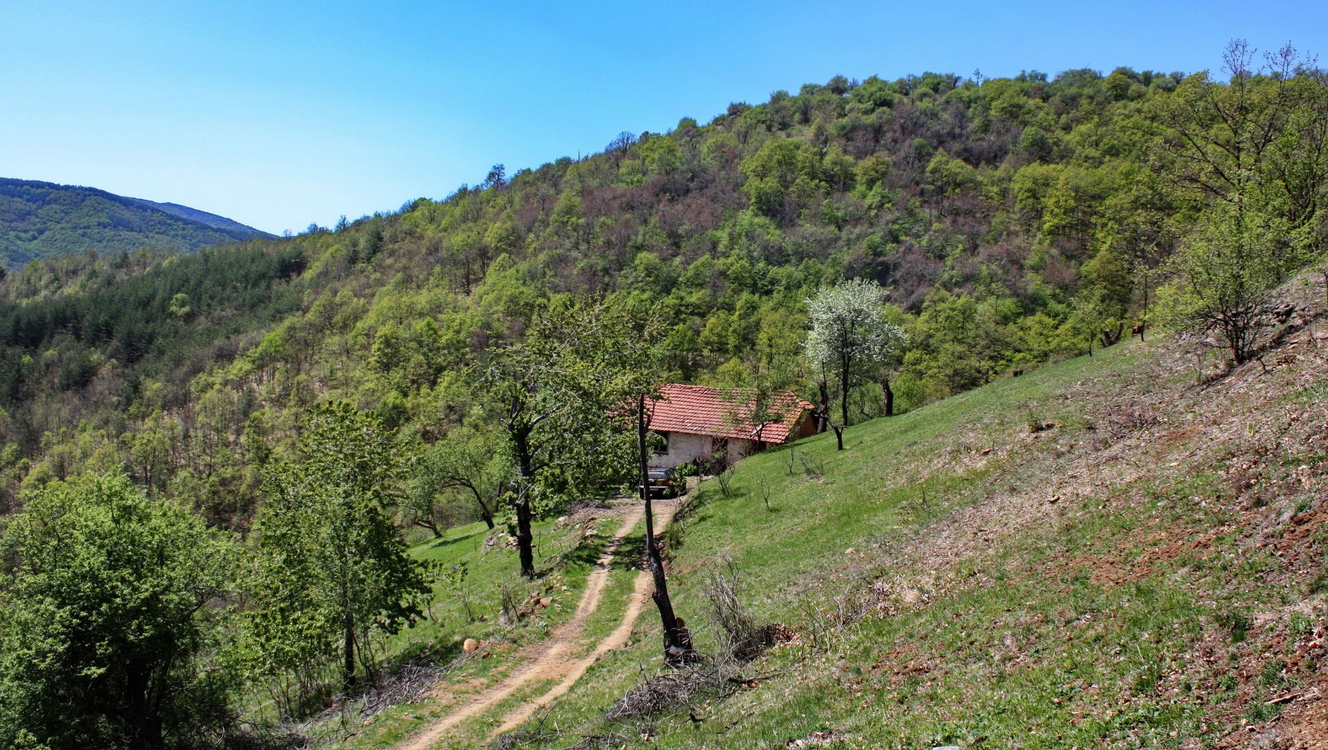 7.5 Acre Ranch in Bulgaria 1h from Sofia - Image 25 of 33
