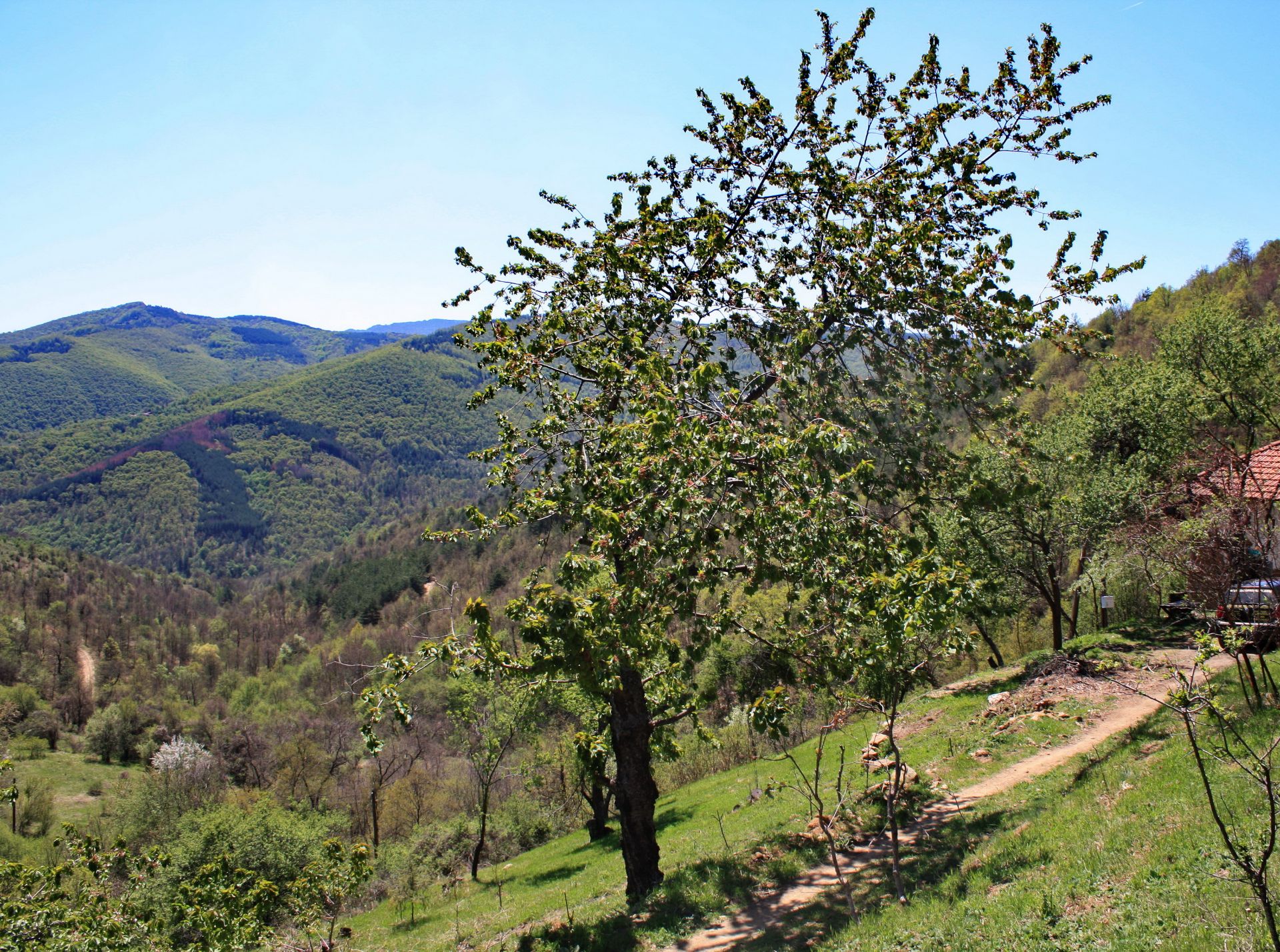 7.5 Acre Ranch in Bulgaria 1h from Sofia - Image 20 of 33