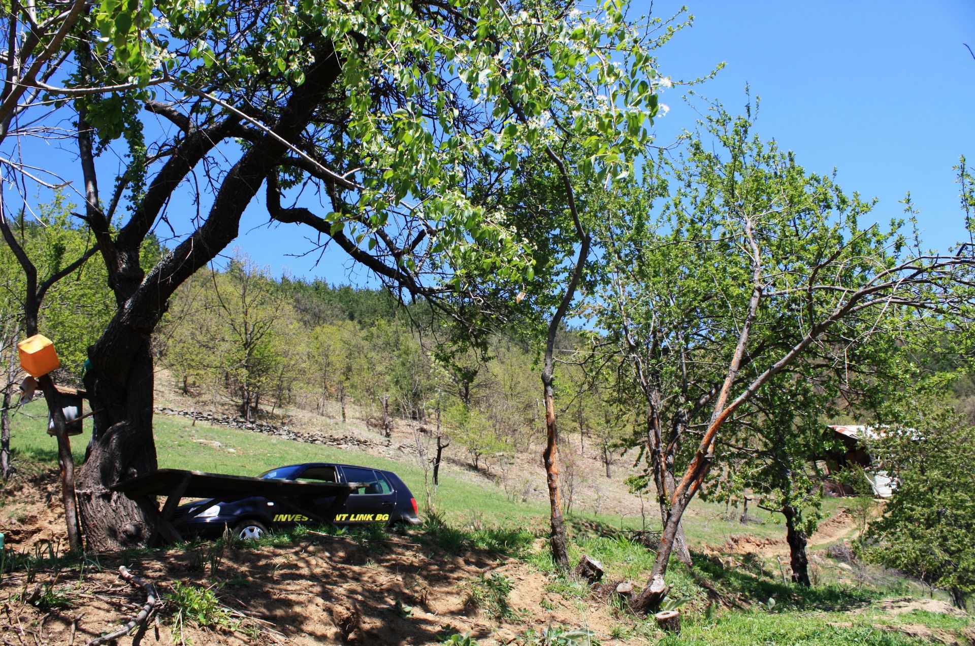 7.5 Acre Ranch in Bulgaria 1h from Sofia - Image 19 of 33