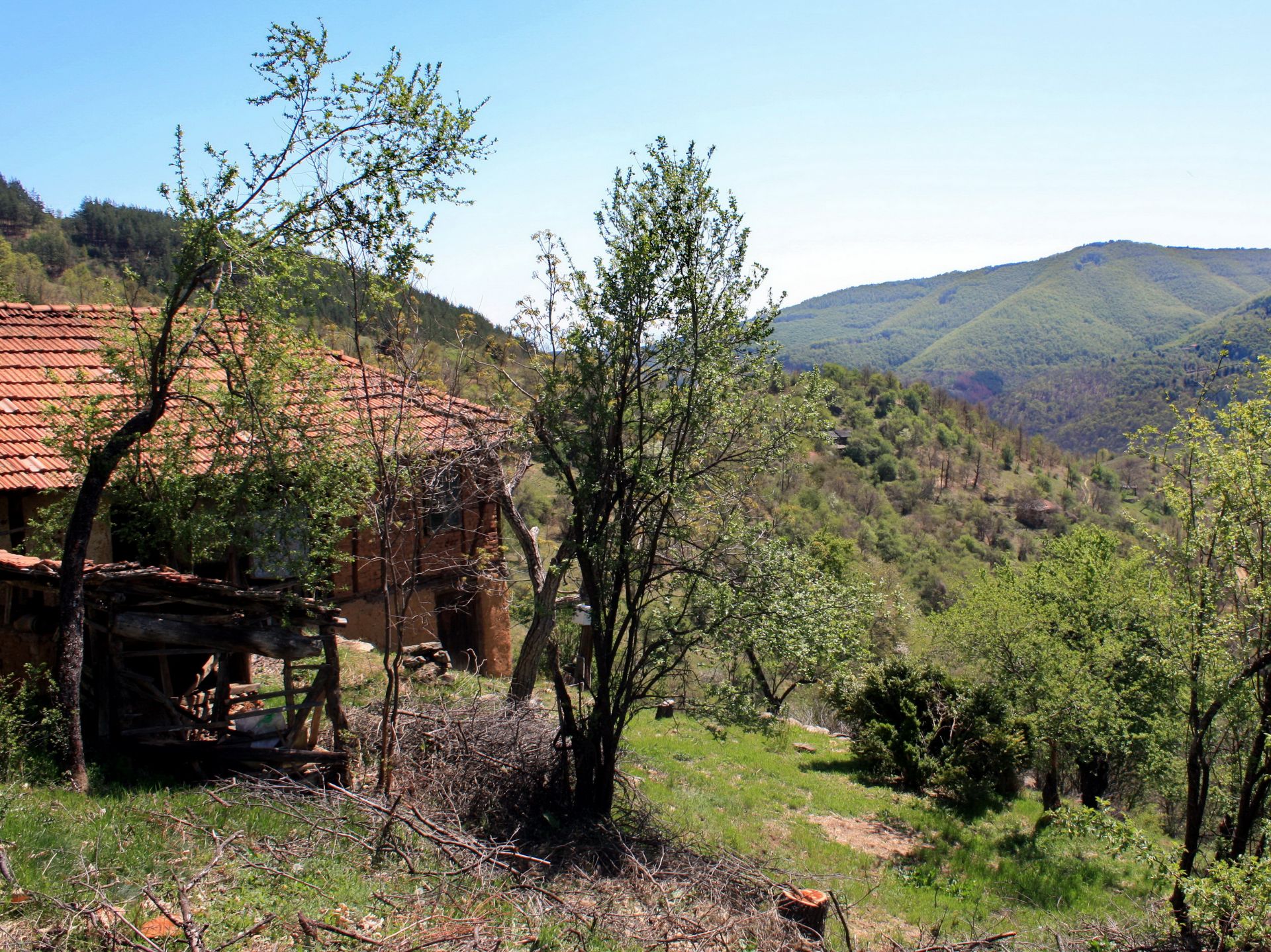 7.5 Acre Ranch in Bulgaria 1h from Sofia - Image 21 of 33