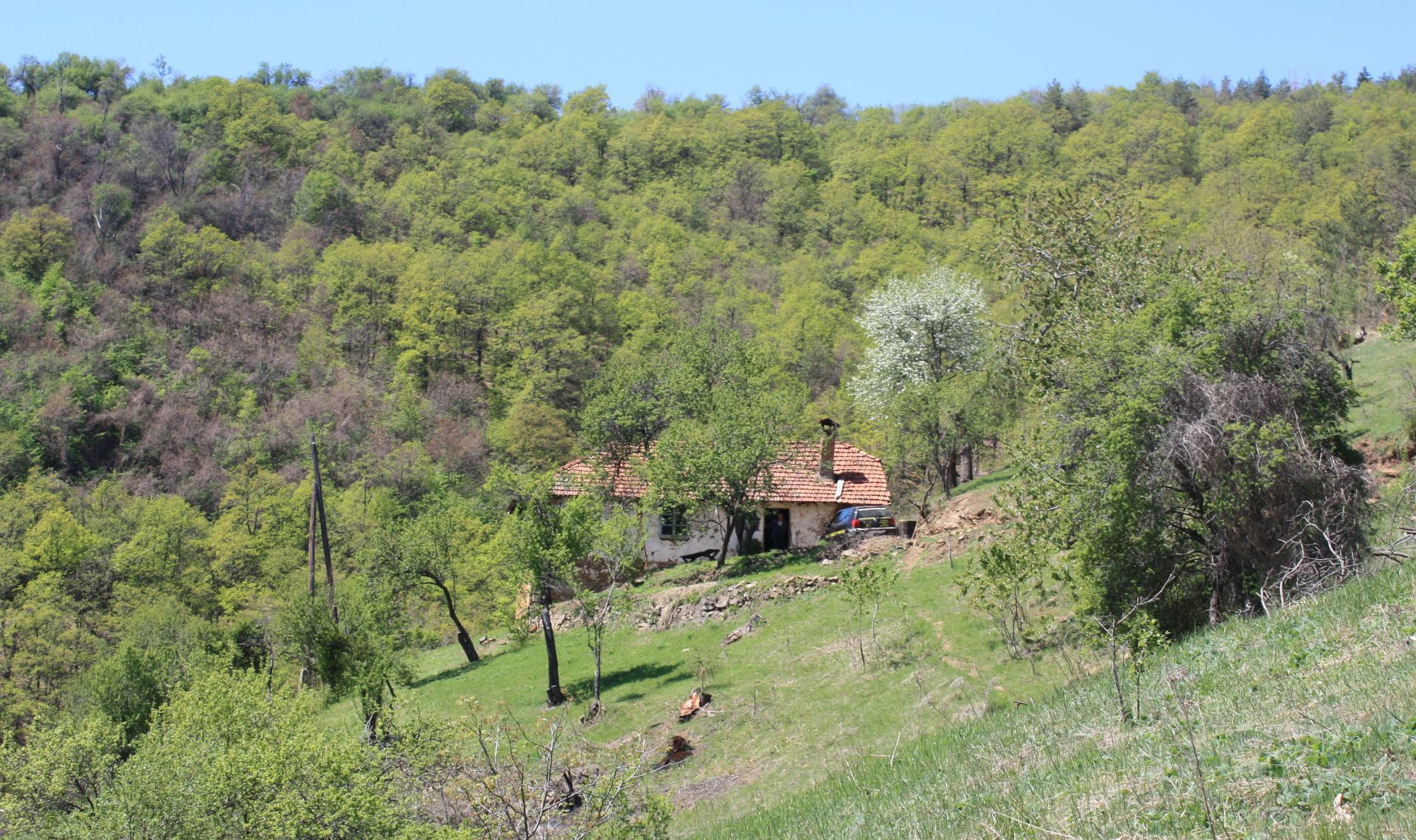 7.5 Acre Ranch in Bulgaria 1h from Sofia - Image 27 of 32