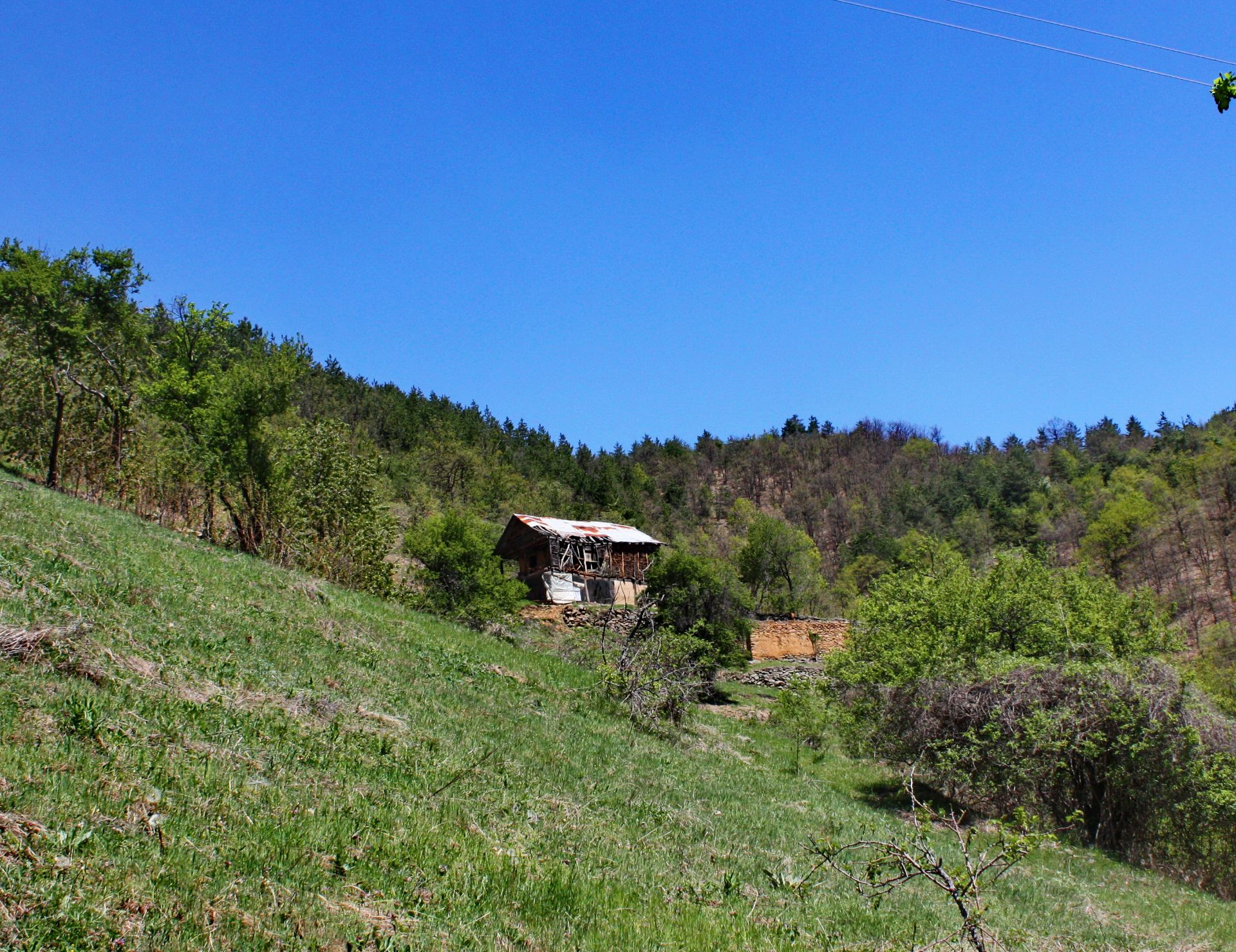 7.5 Acre Ranch in Bulgaria 1h from Sofia - Image 4 of 32