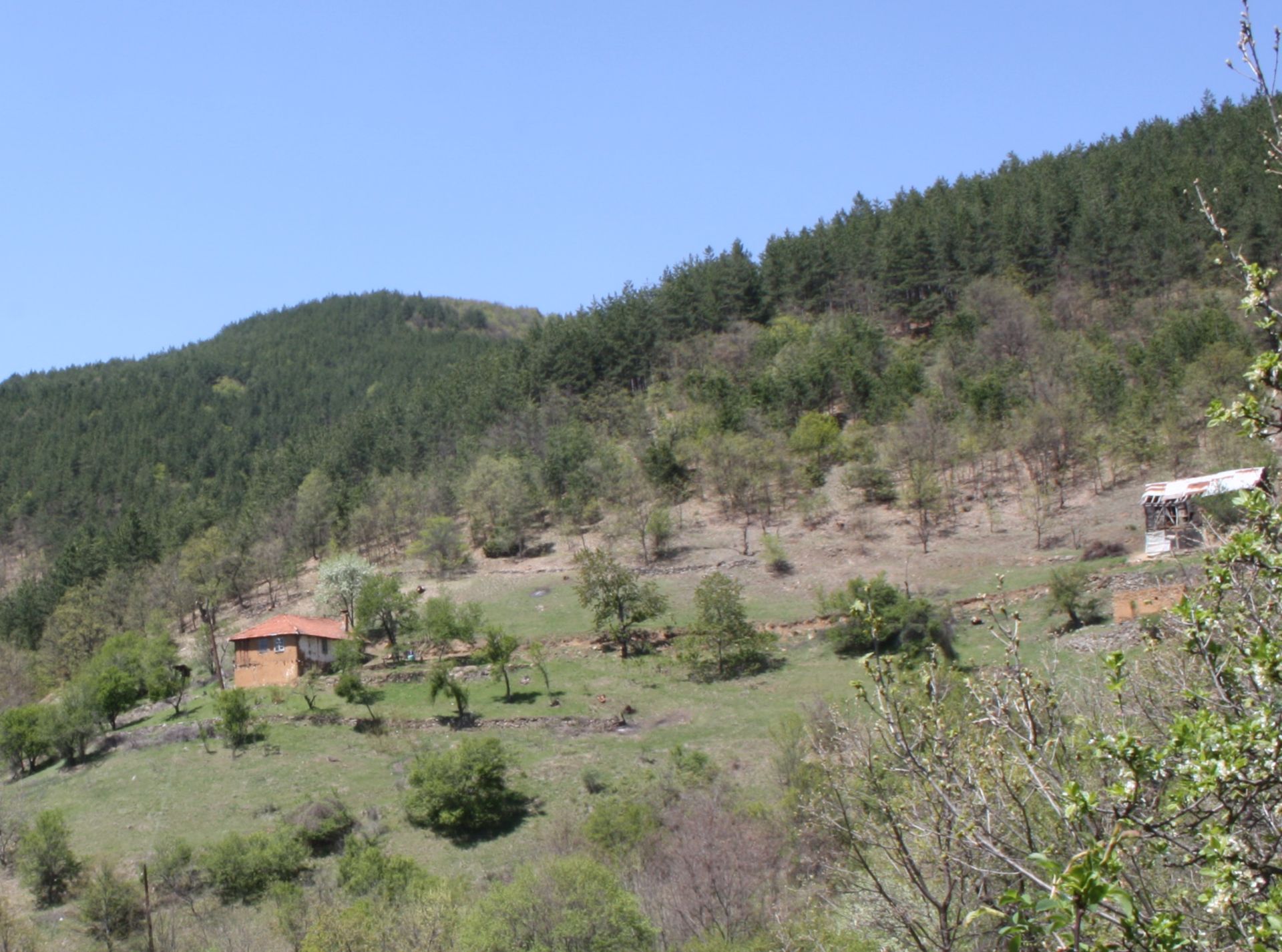 7.5 Acre Ranch in Bulgaria 1h from Sofia - Image 12 of 32