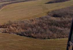 3,000 sqm Forest plot located in Bregovo Municipality , Vidin region, Bulgaria