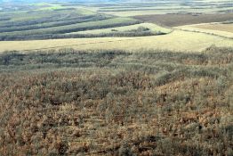 5,300 sqm Forest plot located in Tolovitsa, Vidin region, Bulgaria