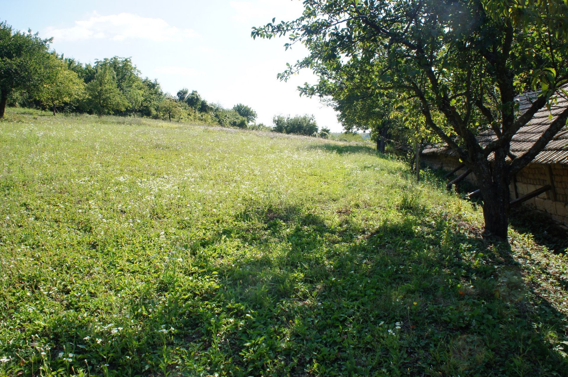 PROPERTY AND 1,770 SQM OF LAND IN POPOVO, BULGARIA - Bild 39 aus 44