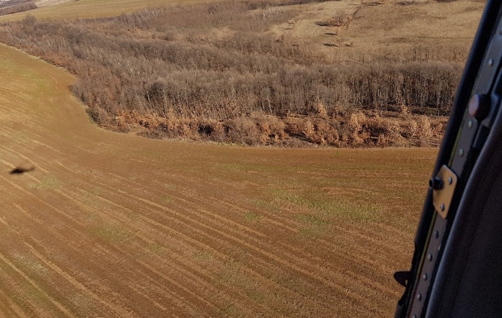 1,500 sqm Forest plot located in Bregovo Municipality , Vidin region, Bulgaria - Image 2 of 5