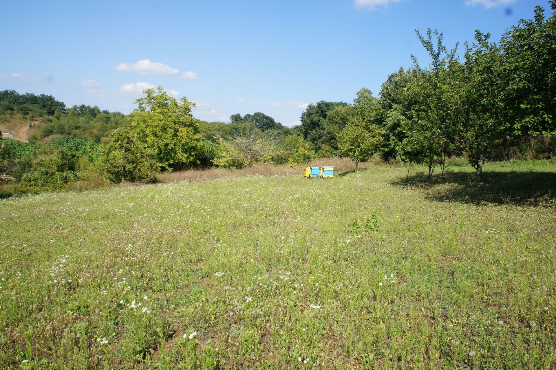 PROPERTY AND 1,770 SQM OF LAND IN POPOVO, BULGARIA - Bild 44 aus 44