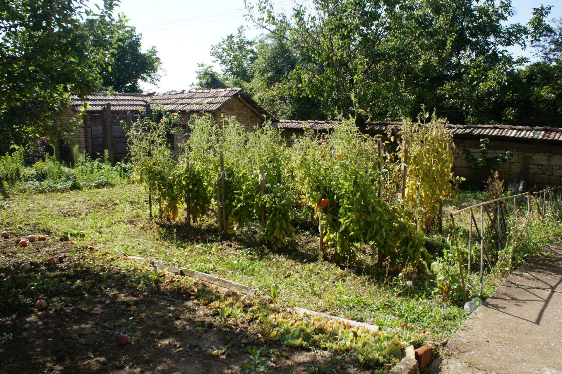 PROPERTY AND 1,770 SQM OF LAND IN POPOVO, BULGARIA - Bild 11 aus 44