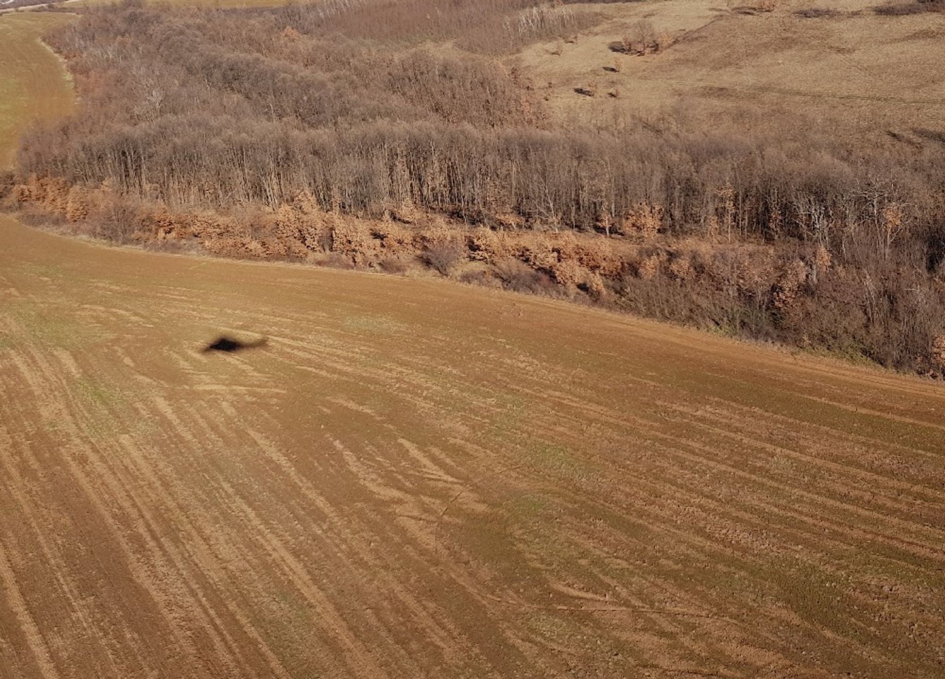 1,500 sqm Forest plot located in Bregovo Municipality , Vidin region, Bulgaria - Image 5 of 5