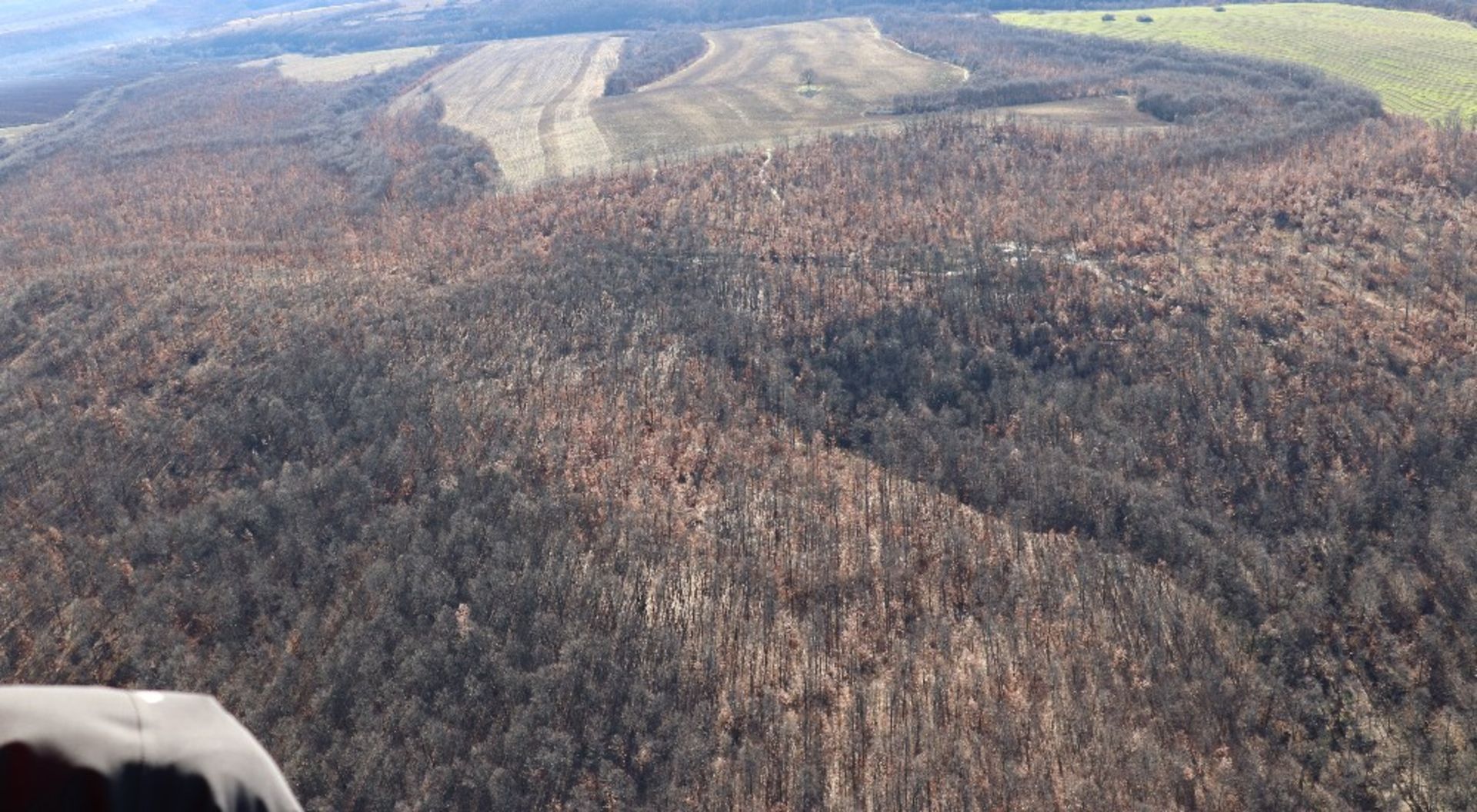 4,000 sqm Forest plot located in Tolovitsa, Vidin region, Bulgaria - Image 4 of 7
