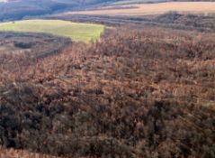 4,000 sqm Forest plot located in Tolovitsa, Vidin region, Bulgaria