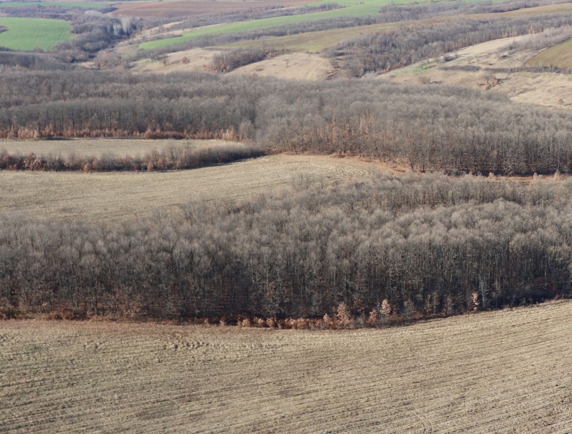 4,002 sqm Forest plot located in Tolovitsa, Vidin region, Bulgaria - Image 3 of 4