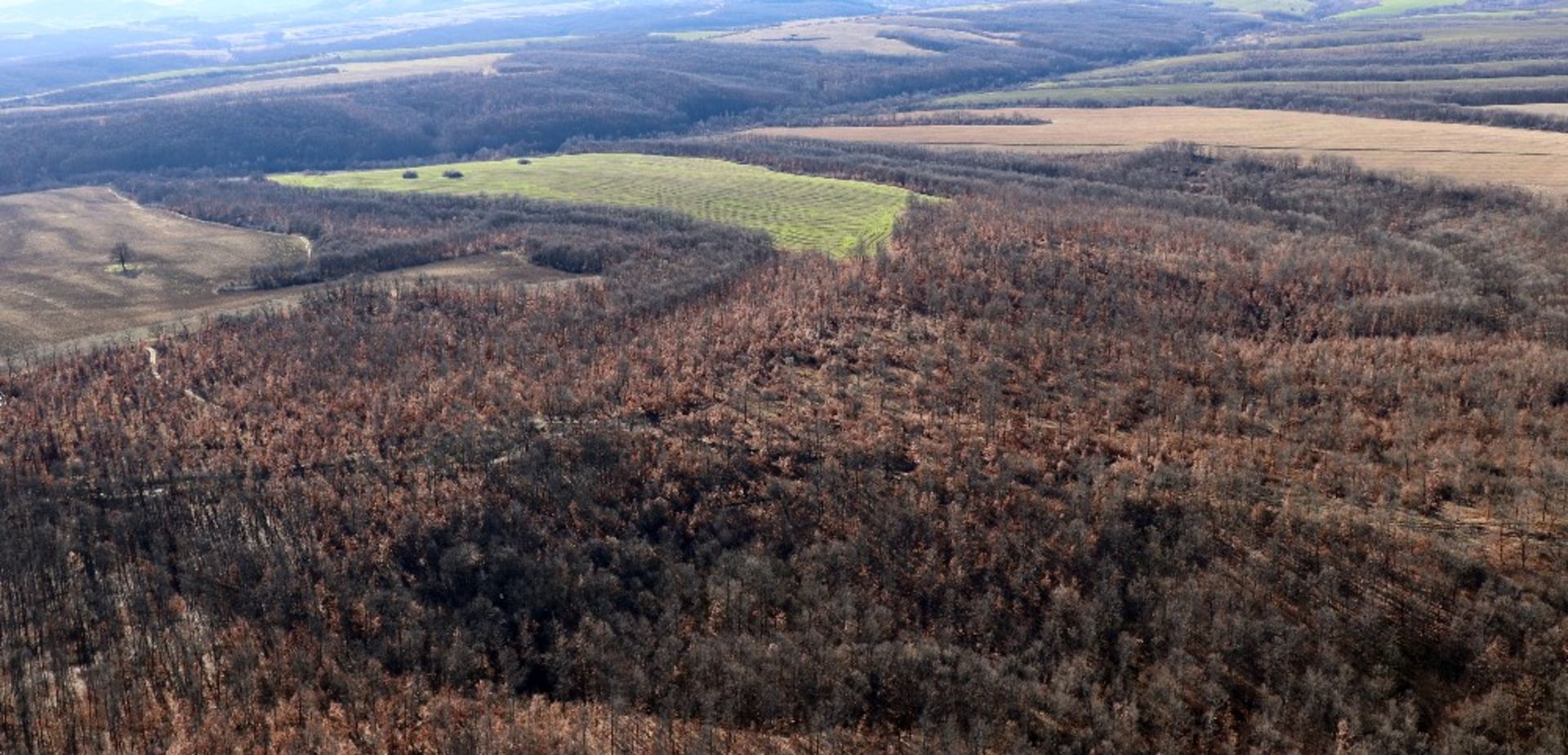 4,000 sqm Forest plot located in Tolovitsa, Vidin region, Bulgaria - Image 3 of 7