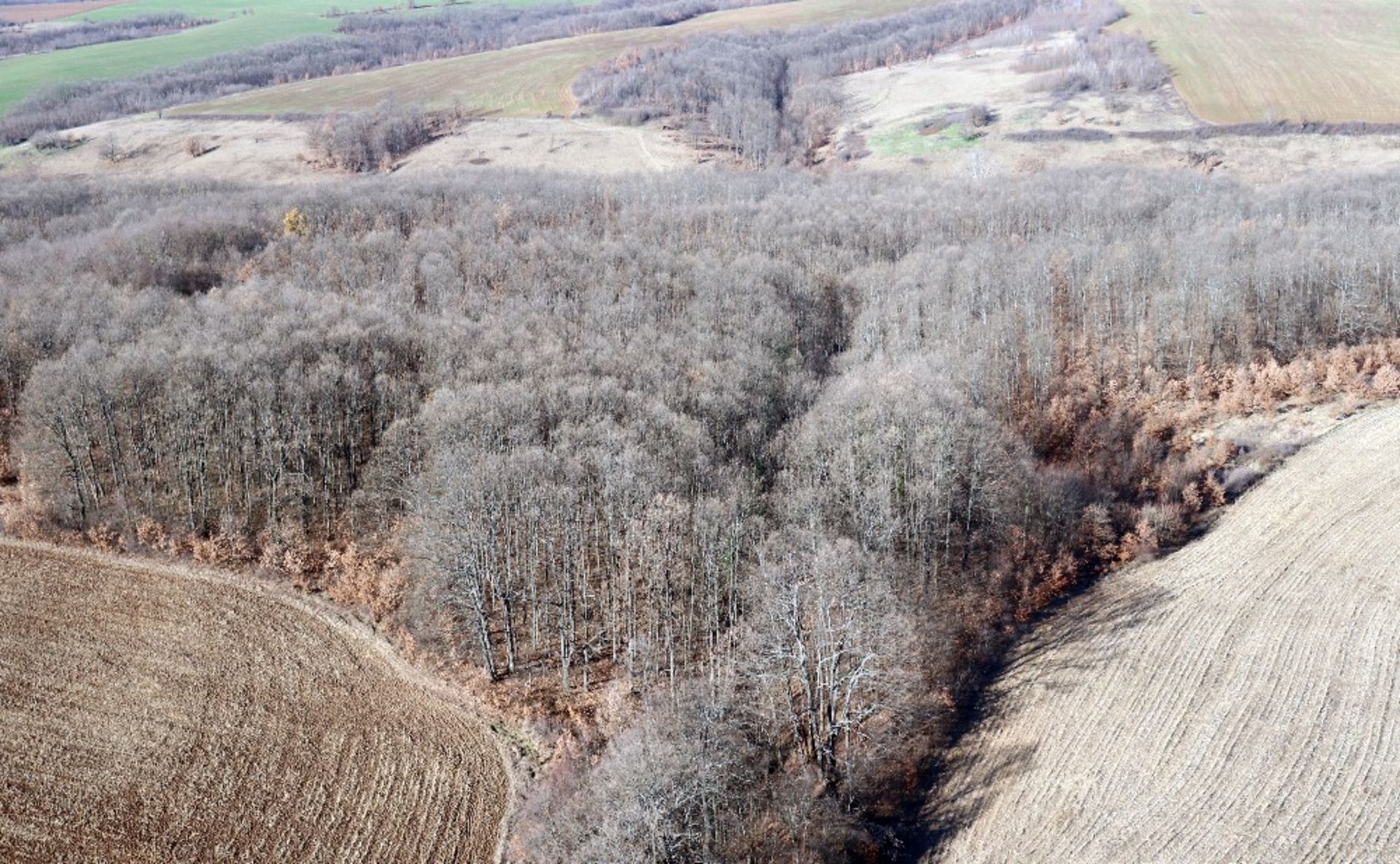 4,002 sqm Forest plot located in Tolovitsa, Vidin region, Bulgaria - Image 2 of 4