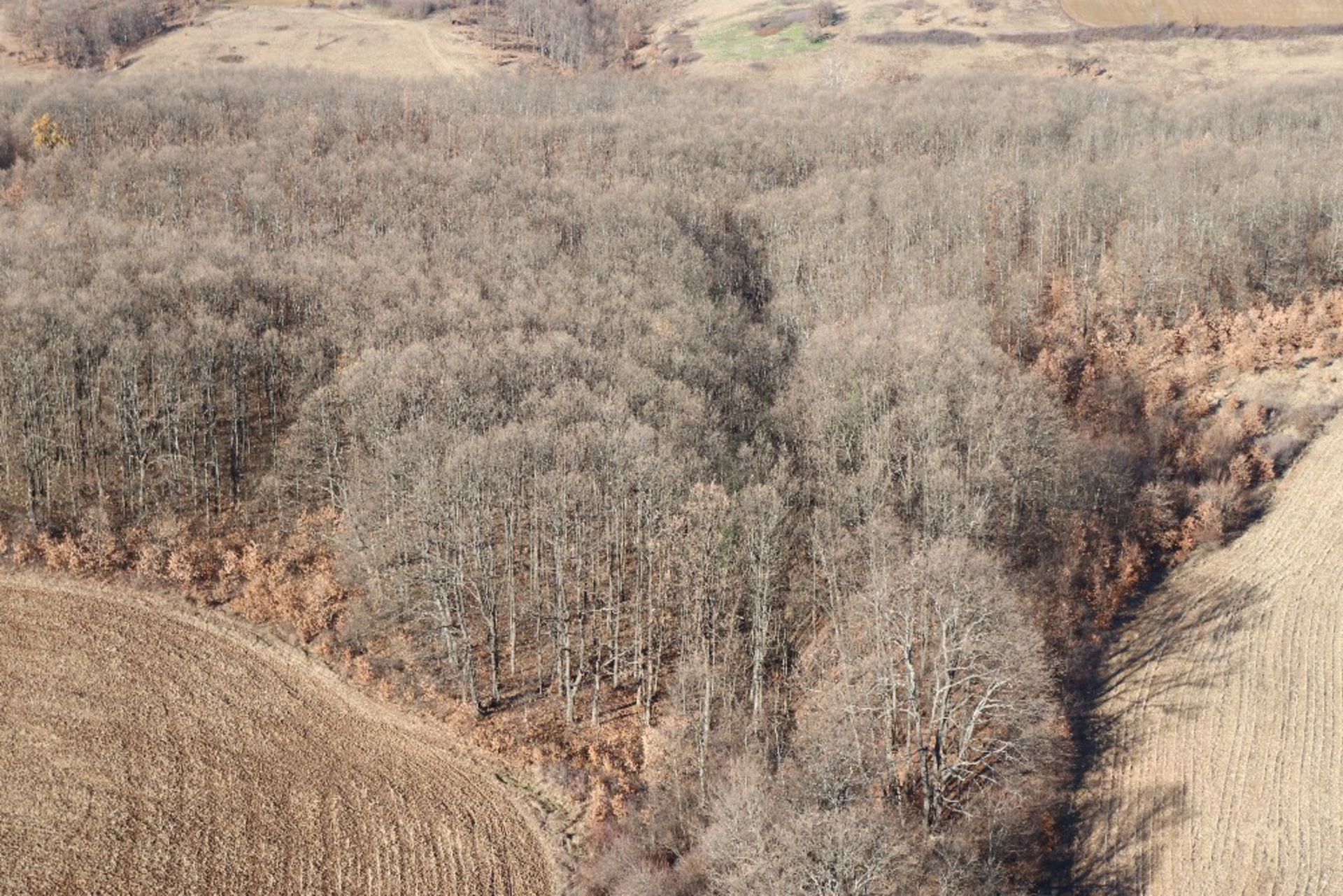 4,002 sqm Forest plot located in Tolovitsa, Vidin region, Bulgaria - Image 4 of 4