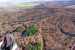 4,000 SQM FOREST PLOT LOCATED IN TOLOVITSA, VIDIN REGION, BULGARIA