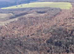 5,300 sqm Forest plot located in Tolovitsa, Vidin region, Bulgaria