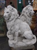 A PAIR OF WHITE CONCRETE LIONS - EXCELLENT FOR ENTRANCES, GATES, PATIOS ETC. *PLUS VAT*