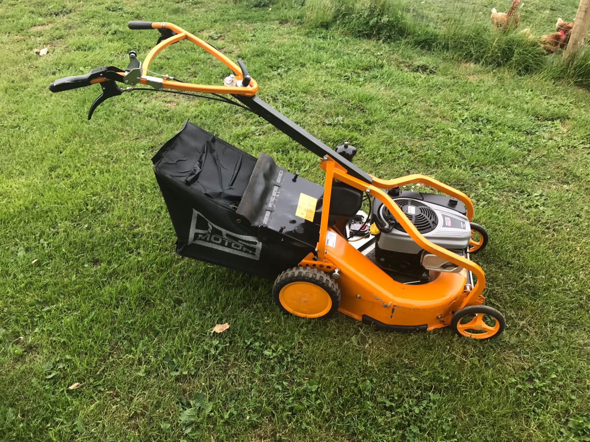 2013 AS 531/4T MK VARIO PRO PROFESSIONAL PETROL WALK BEHIND LAWN MOWER