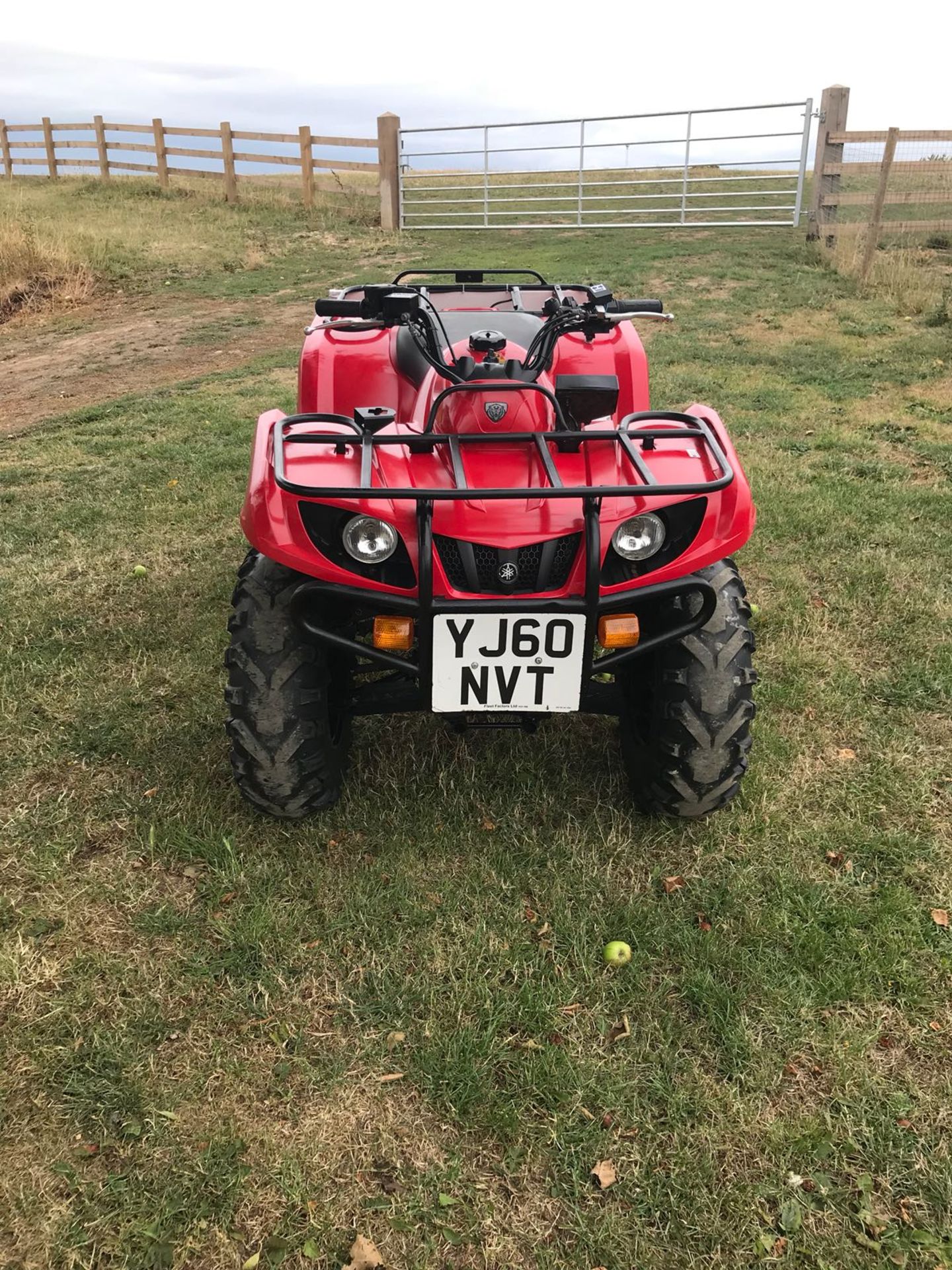 YAMAHA GRIZZLY MODEL KFM350 YEAR 2010 *PLUS VAT* - Image 2 of 8