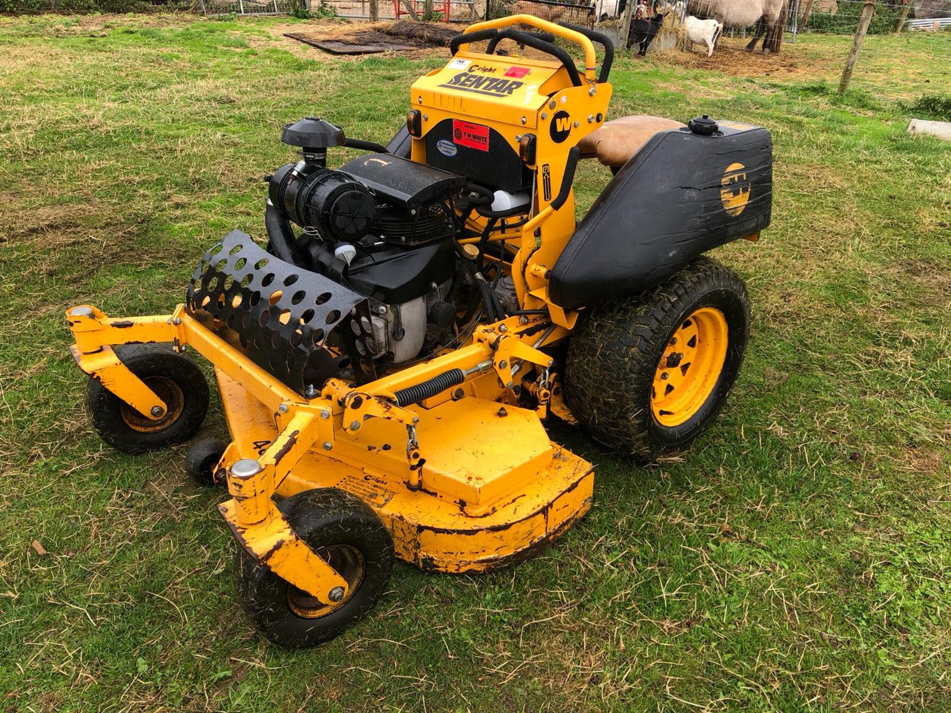 WRIGHT SENTAR STAND ON LAWN MOWER 48" CUTTING DECK *PLUS VAT* - Image 8 of 17