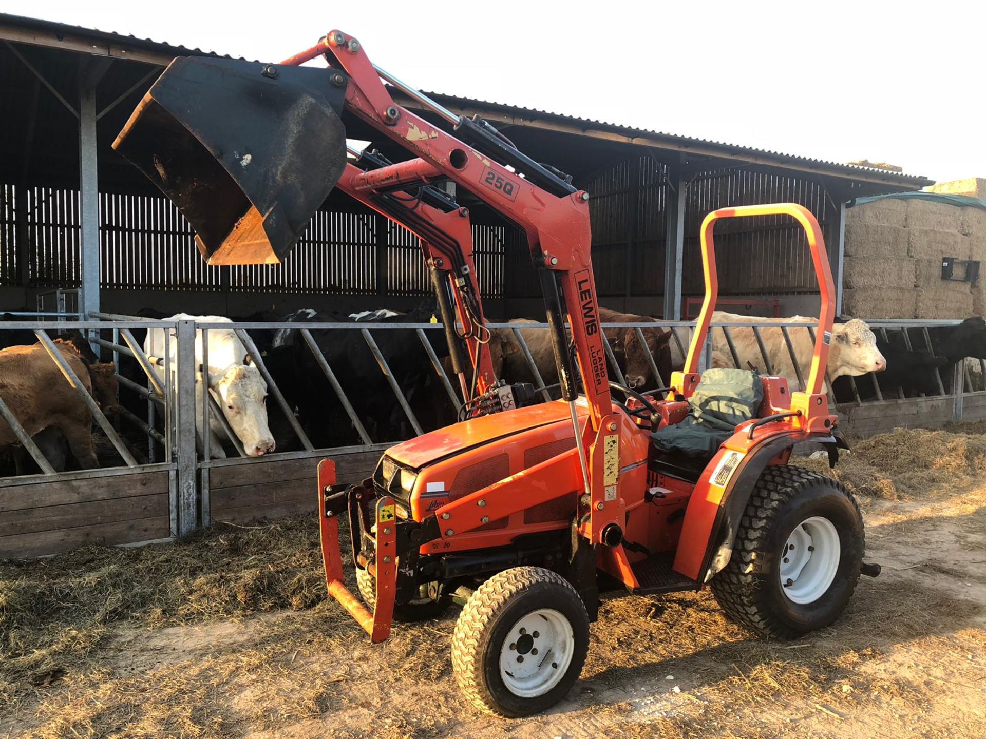 GOLDONI COMPACT TRACTOR WITH LEWIS FRONT LOADER *PLUS VAT* - Image 4 of 14