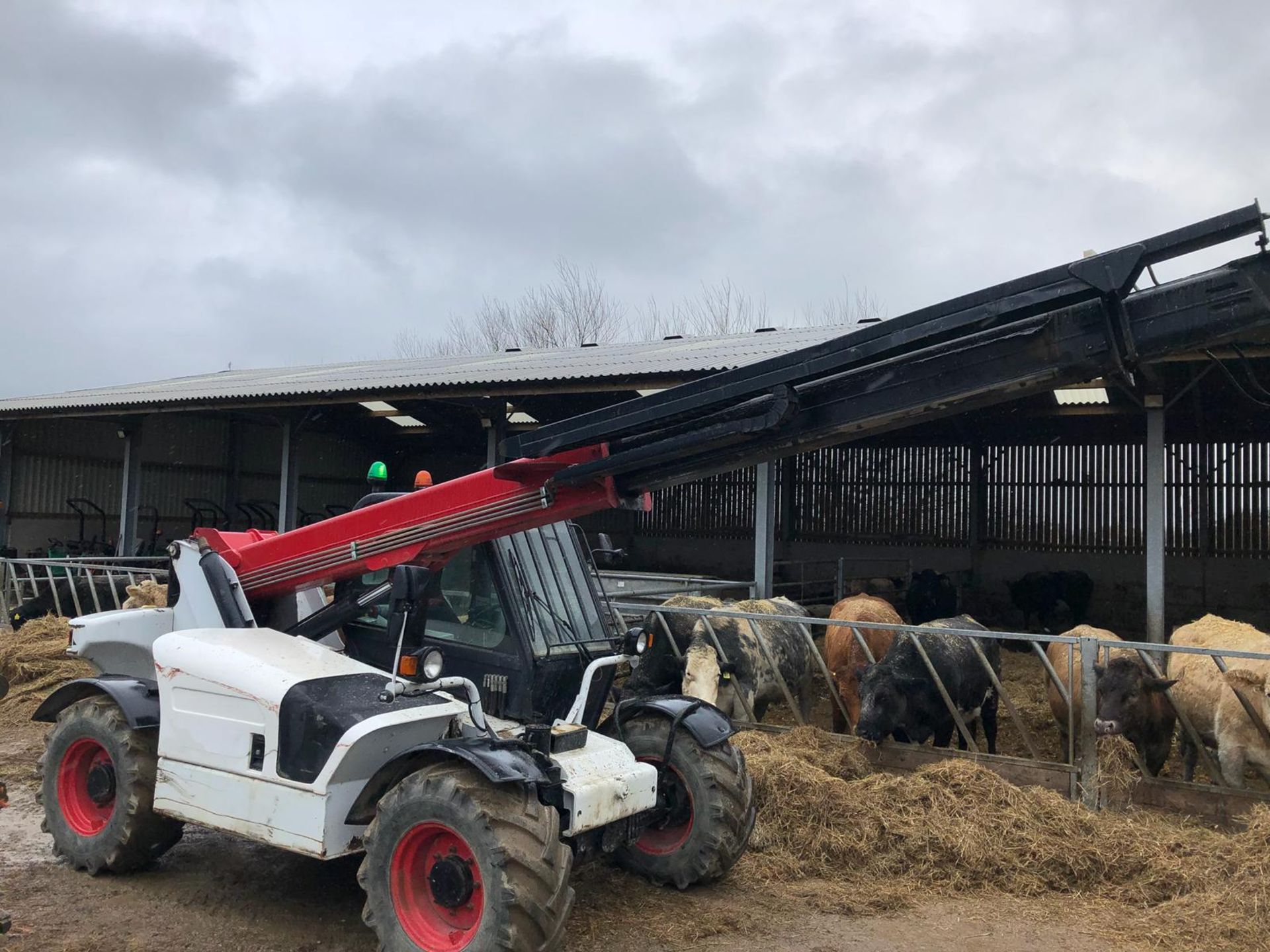 2001 BOBCAT 4060 / T3093CD WHITE / RED TELESCOPIC HANDLER 3 TONNE *PLUS VAT* - Image 5 of 17