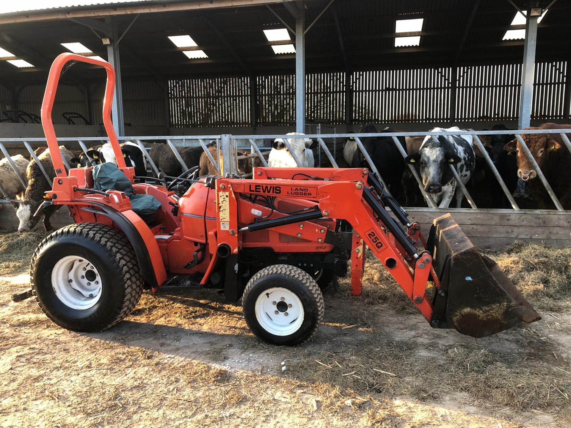 GOLDONI COMPACT TRACTOR WITH LEWIS FRONT LOADER *PLUS VAT*