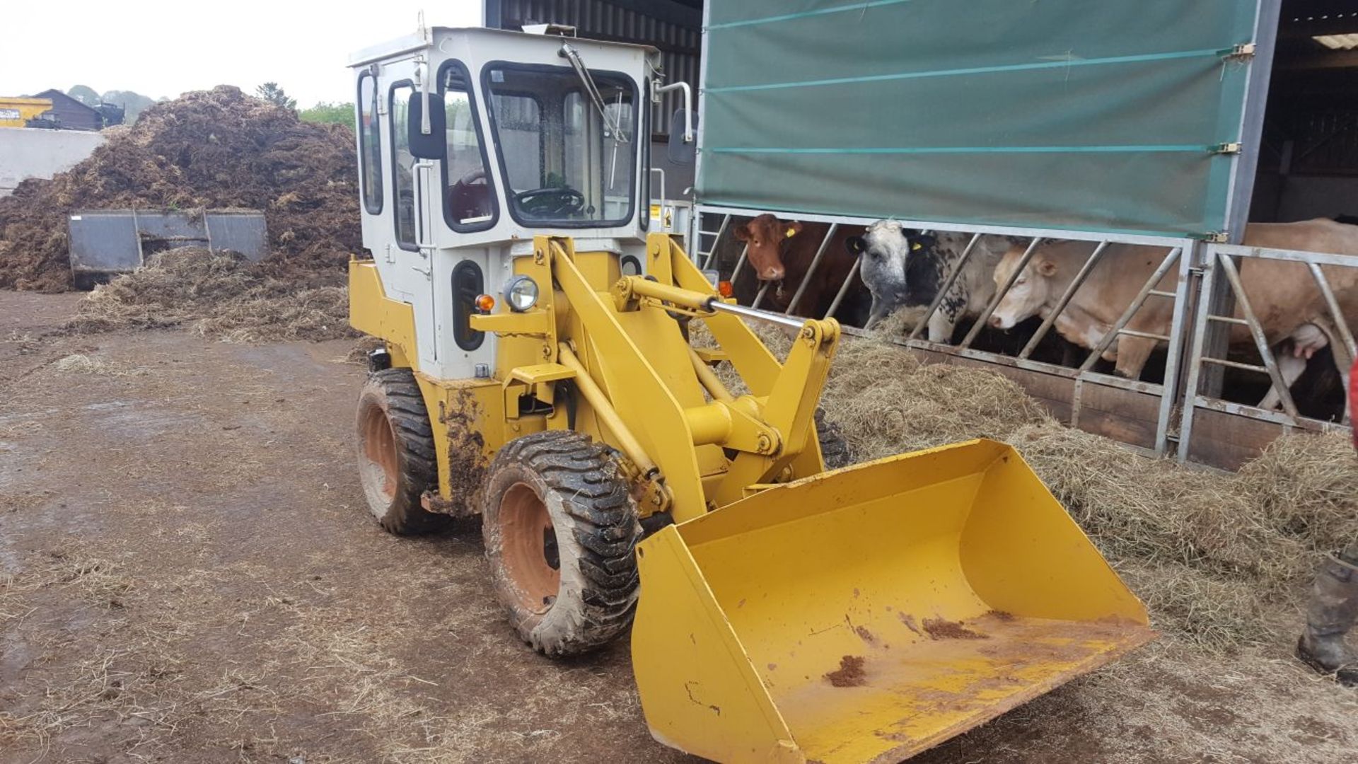 YANMAR Y21WA LOADING SHOVEL 4WD, STARTS, DRIVES & LIFTS *PLUS VAT*