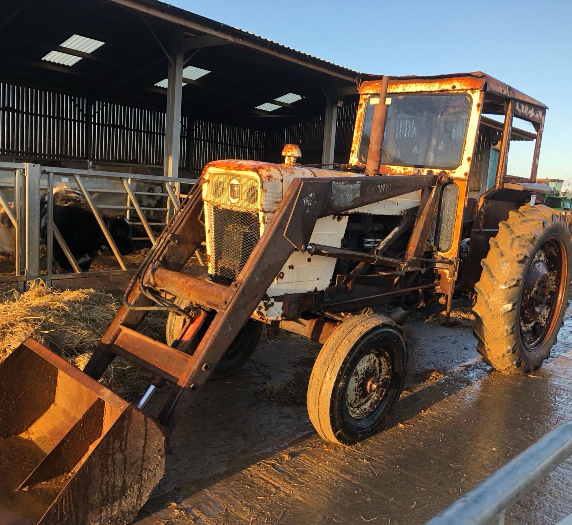 1971 DAVID BROWN 1200 TRACTOR, STARTS WITH A JUMP PACK, DRIVES AND LIFTS *PLUS VAT* - Image 4 of 16