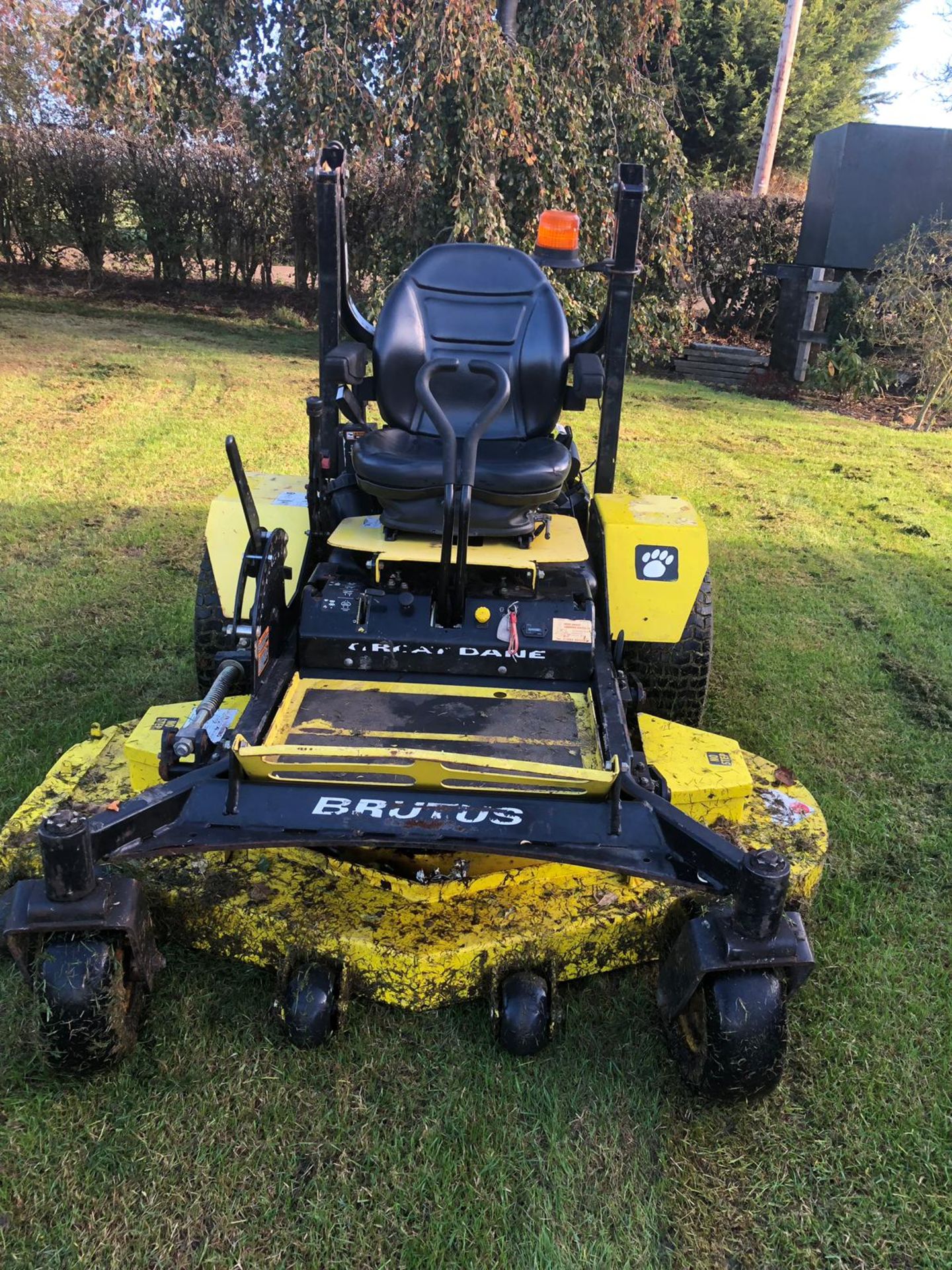 2012/12 REG GREAT DANE BRUTUS RIDE ON PETROL LAWN MOWER WITH DELUXE SEAT AND ROLL BAR *PLUS VAT* - Image 3 of 16
