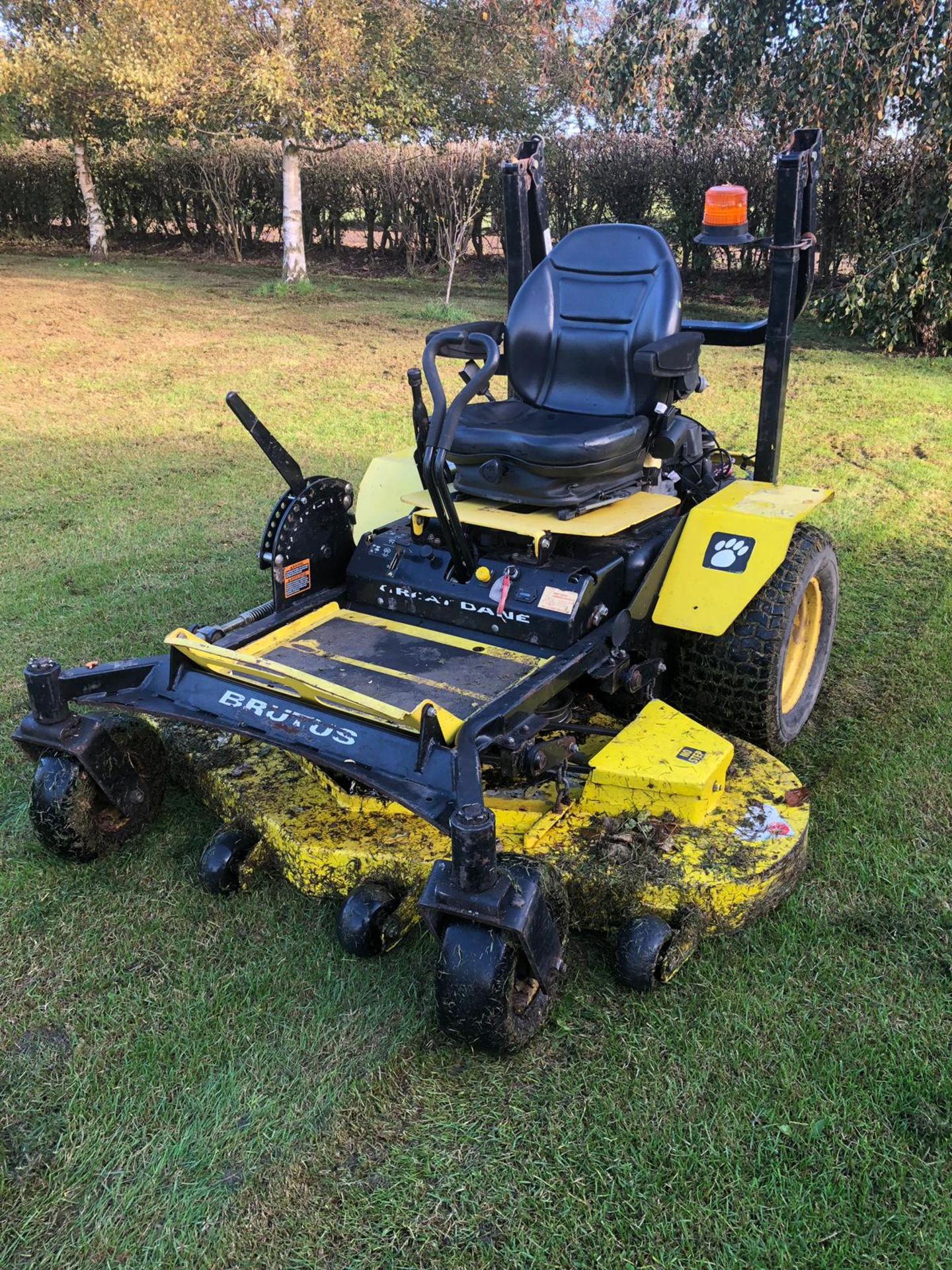 2012/12 REG GREAT DANE BRUTUS RIDE ON PETROL LAWN MOWER WITH DELUXE SEAT AND ROLL BAR *PLUS VAT* - Image 5 of 16