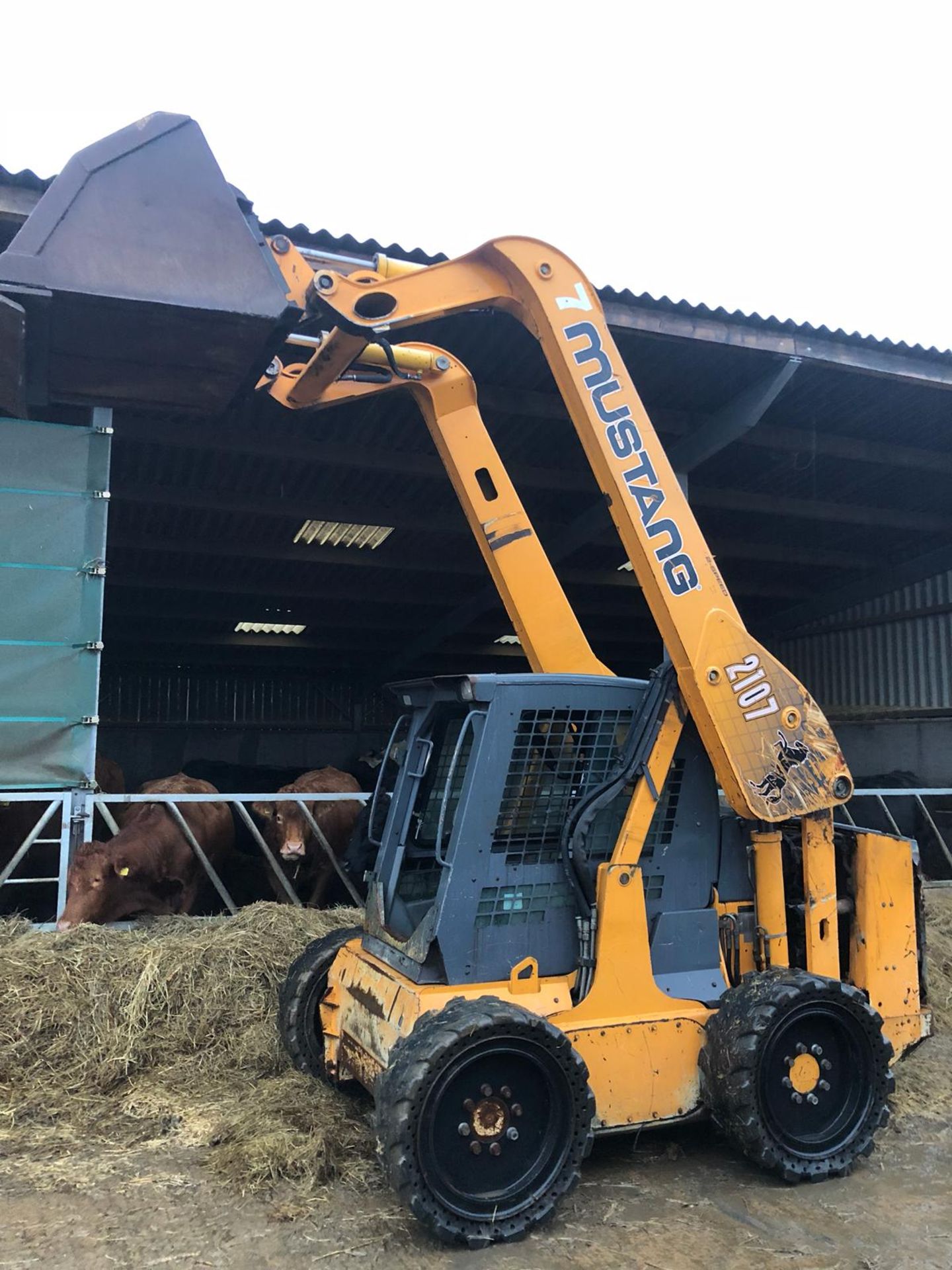 2005 MUSTANG 2107 COMPACT LOADER SKID STEER *PLUS VAT* - Image 3 of 16