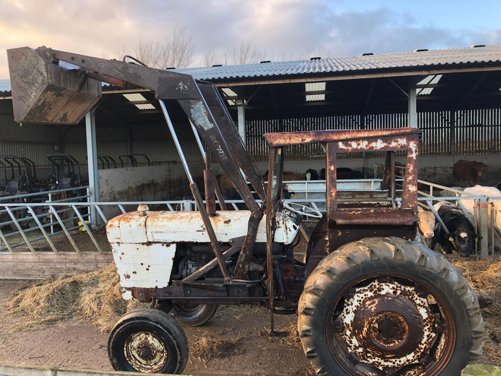 1971 DAVID BROWN 1200 TRACTOR, STARTS WITH A JUMP PACK, DRIVES AND LIFTS *PLUS VAT* - Image 10 of 16