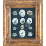 (12) ornithological and butterfly miniatures