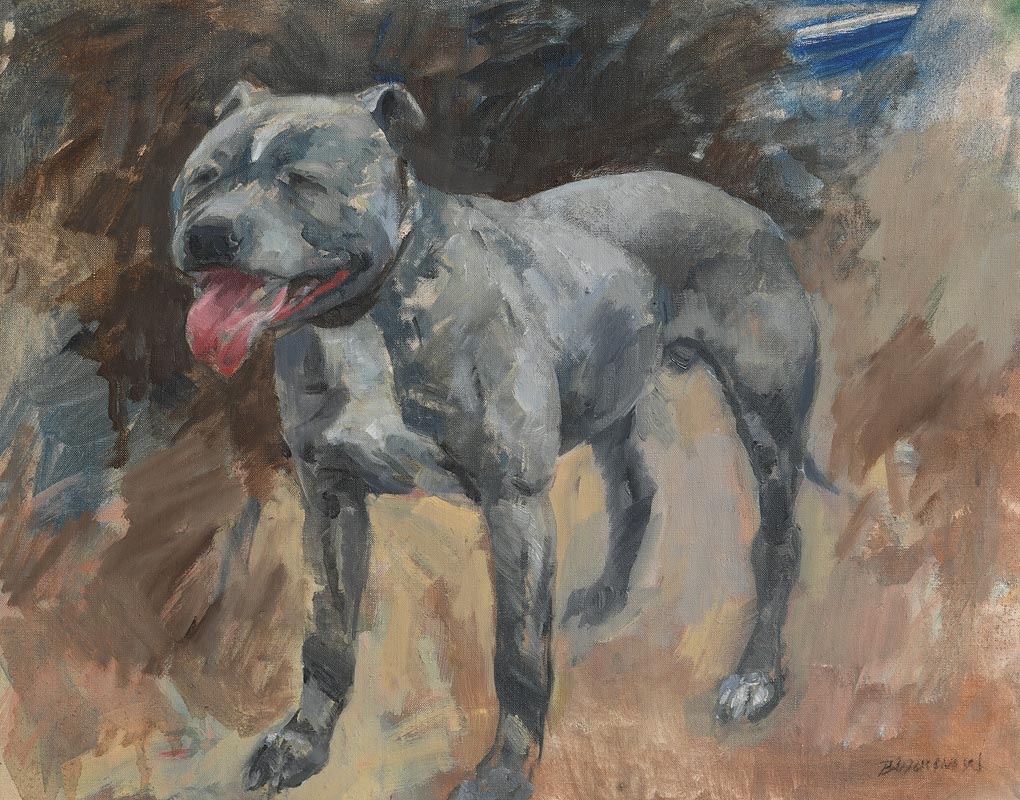 Basil Blackshaw HRHA RUA (1932-2016) Bulldog oil on canvas signed lower right 41 x 51cm (16.14 x