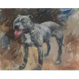 Basil Blackshaw HRHA RUA (1932-2016) Bulldog oil on canvas signed lower right 41 x 51cm (16.14 x