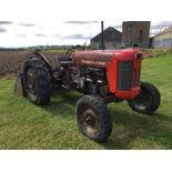 MASSEY FERGUSON 65