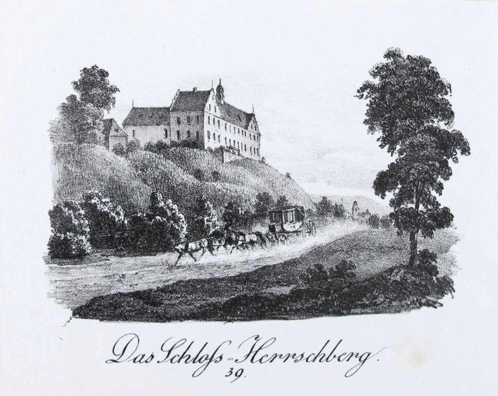Bodensee. Schloss Herrschberg, Schloss Kirchberg, Heidenlöcher bei Ueberlingen, Partie im Graf v.