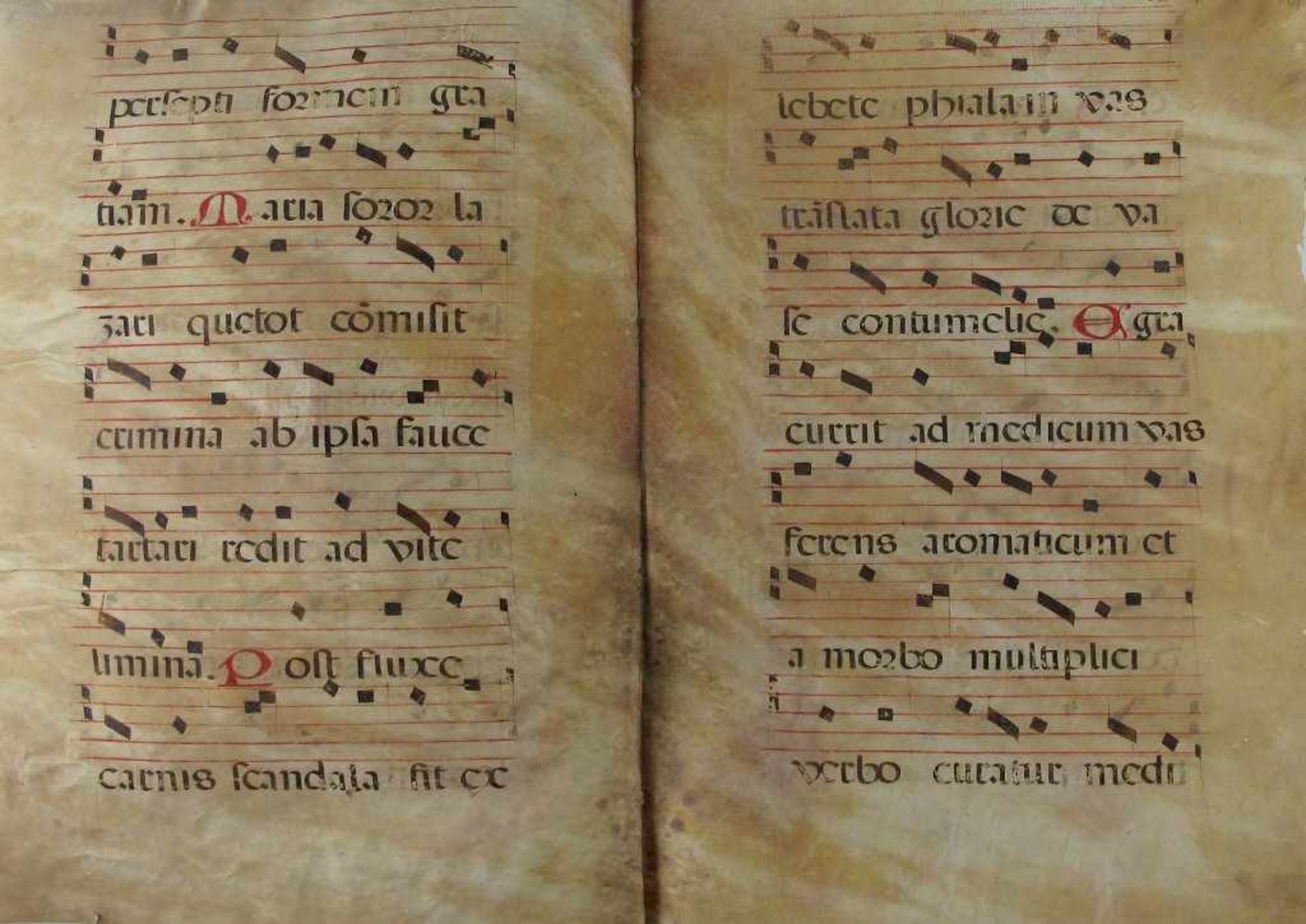 Antiphonar-Doppelblatt. Lateinische Handschrift in Rot und Schwarz auf Pergament. Beidseitig - Bild 2 aus 2