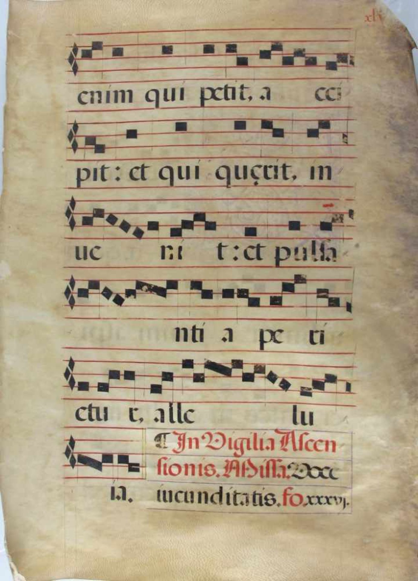 Antiphonar-Blatt. Lateinische Handschrift in Rot und Schwarz auf Pergament. Beidseitig - Bild 2 aus 2