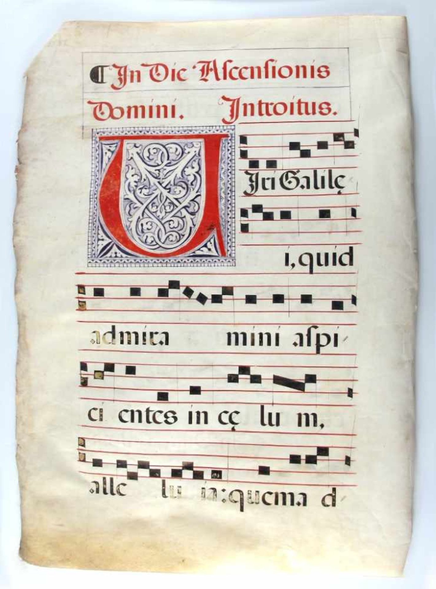 Antiphonar-Blatt. Lateinische Handschrift in Rot und Schwarz auf Pergament. Beidseitig